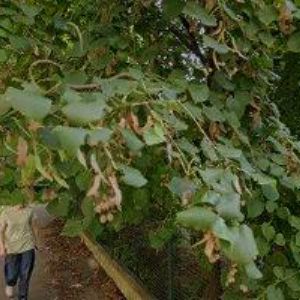 obrazek: avatar AUDITA SERVIS, s.r.o.