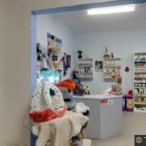 obrazek: avatar DIVADELNÍ SPOLEČNOST KEJKLÍŘ