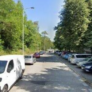 obrazek: avatar MACHALÍKOVÁ JANA MgA.