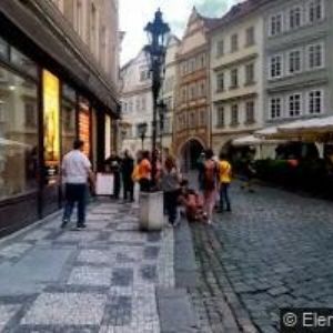 obrazek: avatar COYOTES PRAHA