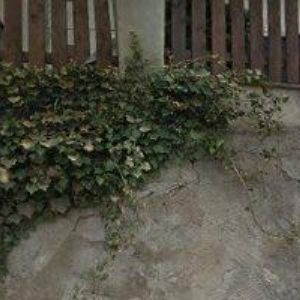 obrazek: avatar TYRKYS BAR