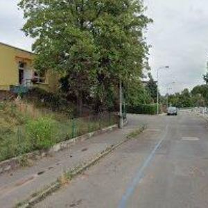 obrazek: avatar VESELÝ TOWEN PAVEL