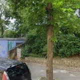 BOHEMIA PRAŽSKÝ SYMFONICKÝ ORCHESTR