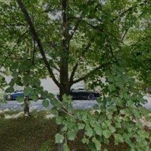 obrazek: avatar KYTICE, z.s.