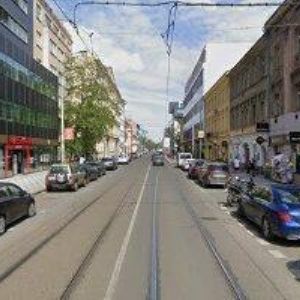 obrazek: avatar ZO ČSOP PŘÍRODOVĚDNÝ KLUB