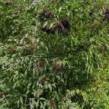 DŮM DĚTÍ A MLÁDEŽE Praha 9