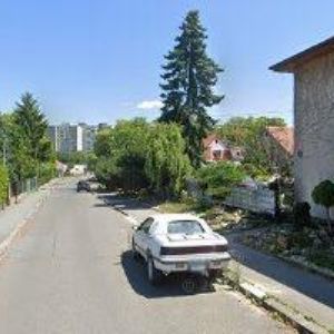 obrazek: avatar SPORTOVNÍ KLUB SENZA Praha