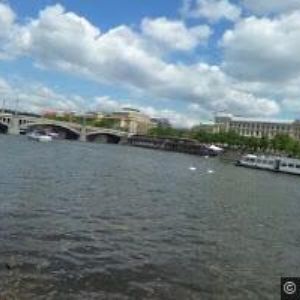 obrazek: avatar GEMINI z.s.