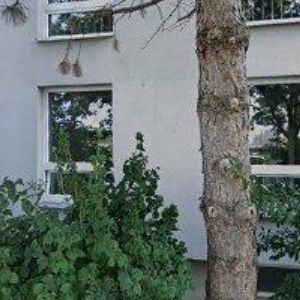 obrazek: avatar KLUB ČESKÝCH TURISTŮ, ODBOR TOM FILIŠTÍNI Praha