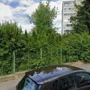 obrazek: avatar BOXERKLUB ČR STŘEDNÍ ČECHY