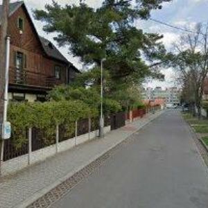 obrazek: avatar REBELS RACING o.s.