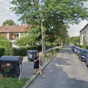 obrazek: avatar DOG DANCING CLUB CZECH REPUBLIC