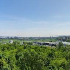 obrazek: avatar YORKSHIRE TERRIER KLUB CHOVATELŮ A JEHO PŘÁTEL, z.s.