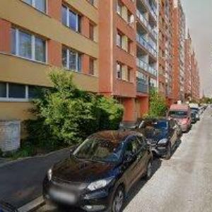 obrazek: avatar ČESKÝ KLUB CHOVATELŮ TERČOVCŮ