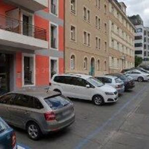 obrazek: avatar MOPS KLUB ČESKÉ REPUBLIKY . z.s.