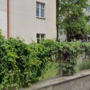 obrazek: avatar ALLA DANZA, o.s.