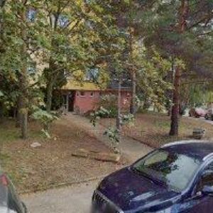 obrazek: avatar PRAECEDO REGIS