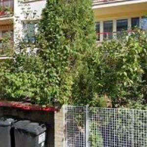 obrazek: avatar HEGER ŠTĚPÁN