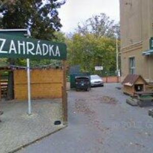 obrazek: avatar TJ SOKOL Praha Košíře