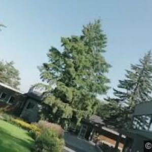 obrazek: avatar MOTOL SPORT PARK