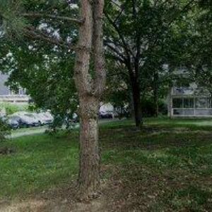 obrazek: avatar SOLVEPRAGUE s.r.o.