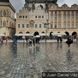 obrazek: avatar STUDUJTE.CZ, o.p.s.