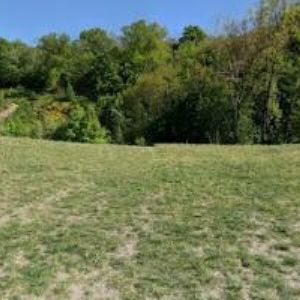 obrazek: avatar NÁRODNÍ INFORMAČNÍ A PORADENSKÉ STŘEDISKO PRO KULTURU