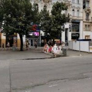 obrazek: avatar GREEN FOX ACADEMY s.r.o.