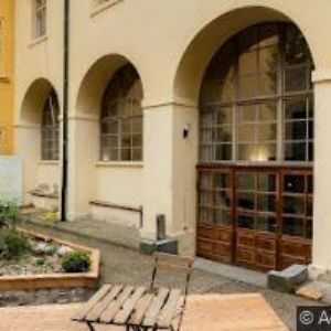 obrazek: avatar RADOST 3.0 o.p.s.