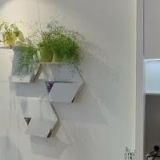 CENTRUM INTEGRATIVNÍ PSYCHOTERAPIE