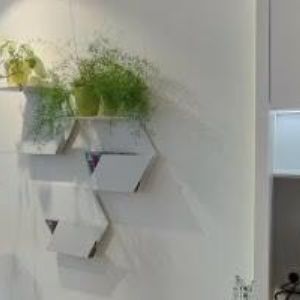 obrazek: avatar CENTRUM INTEGRATIVNÍ PSYCHOTERAPIE