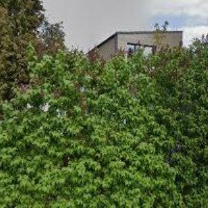 obrazek: avatar ALENKA PASTELKA