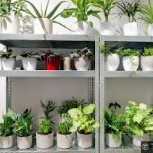 obrazek: avatar TOP SOLUTION s.r.o.