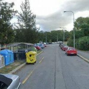 obrazek: avatar RISE AND SHINE