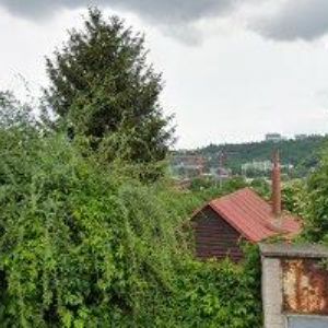 obrazek: avatar KRZEMIEŇOVÁ ANTONIE-TONIE, PSYCHOSOMATIKA, SPISOVATELKA