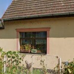 obrazek: avatar ŠRŮTA PETR-NA PŘÍJMAČKY