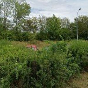 obrazek: avatar SPECIAL DRIVE s.r.o.