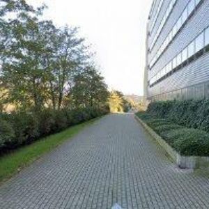 obrazek: avatar HORVÁT KALMAN Mgr.