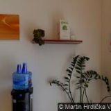 AMOS-KAMPOMATURITE.CZ, s.r.o.