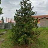 BOHEMIACHLAD spol. s r.o.