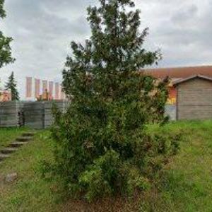 obrazek: avatar BOHEMIACHLAD spol. s r.o.