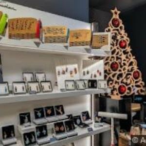 obrazek: avatar ANTŮŠKOVÁ MICHAELA