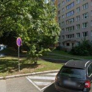 obrazek: avatar PETRÁKOVÁ VOIGTS IRENA