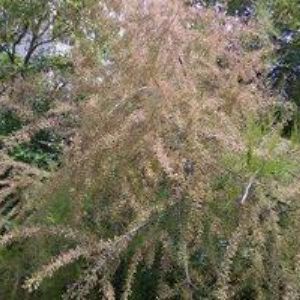 obrazek: avatar FOKUS PRAHA, o.s.