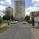 ADAM JIŘÍ-LEKTORSKÁ ČINNOST