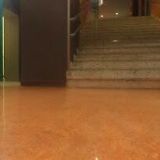 INSTITUT CELOSTNÍ GRAFOLOGIE