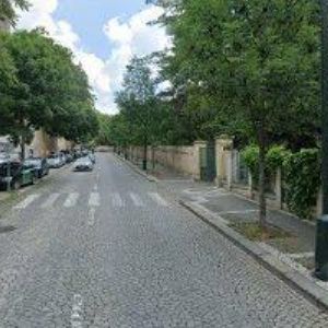 obrazek: avatar ČESKÁ BOTANICKÁ SPOLEČNOST