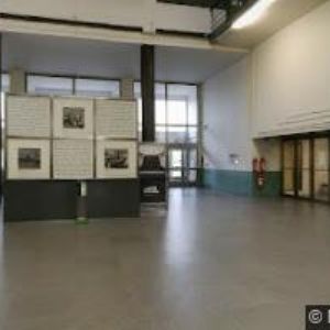 obrazek: avatar ČESKÁ SPOLEČNOST PRO TRÉNOVÁNÍ PAMĚTI A MOZKOVÝ JOGGING-ČSTPMJ