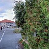 BĚLOCHOVÁ JITKA-NEHTOVÝ DESIGN