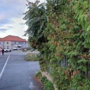 obrazek: avatar BĚLOCHOVÁ JITKA-NEHTOVÝ DESIGN